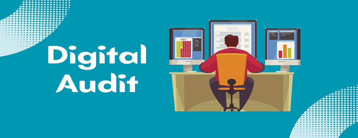 digital-audit-company-in-rohtak